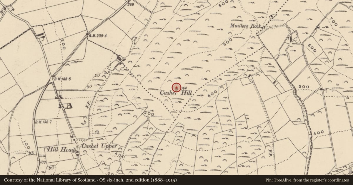 Ordnance Survey six-inch map, 2nd edition (1888–1915) covering the location of Hut site, Crislaghmore, County Donegal, with a pin at the register's coordinates