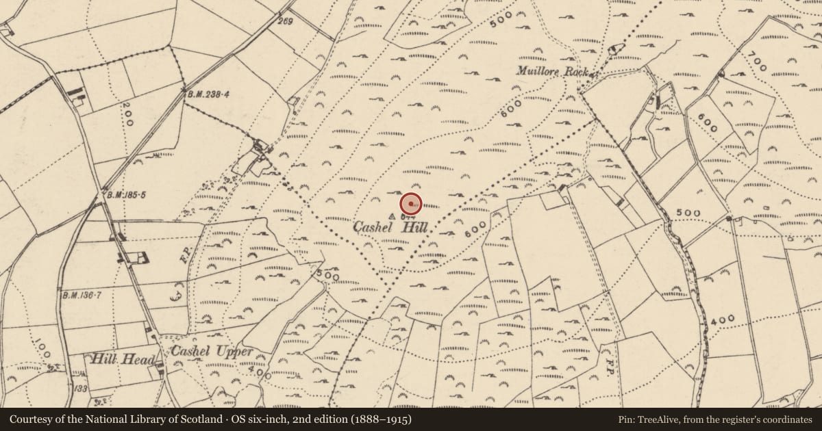 Ordnance Survey six-inch map, 2nd edition (1888–1915) covering the location of Field boundary, Crislaghmore, County Donegal, with a pin at the register's coordinates
