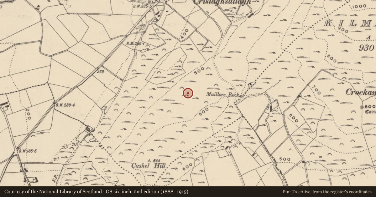 Ordnance Survey six-inch map, 2nd edition (1888–1915) covering the location of Hut site, Crislaghmore, County Donegal, with a pin at the register's coordinates