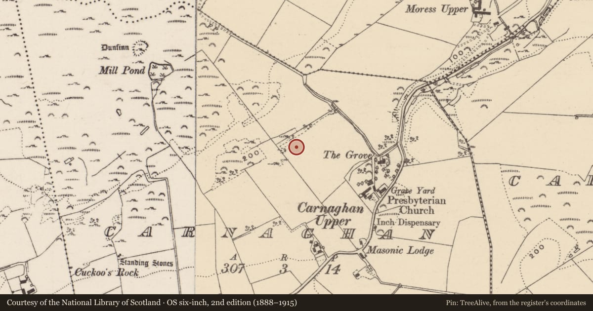 Ordnance Survey six-inch map, 2nd edition (1888–1915) covering the location of Souterrain, Carnaghan, County Donegal, with a pin at the register's coordinates