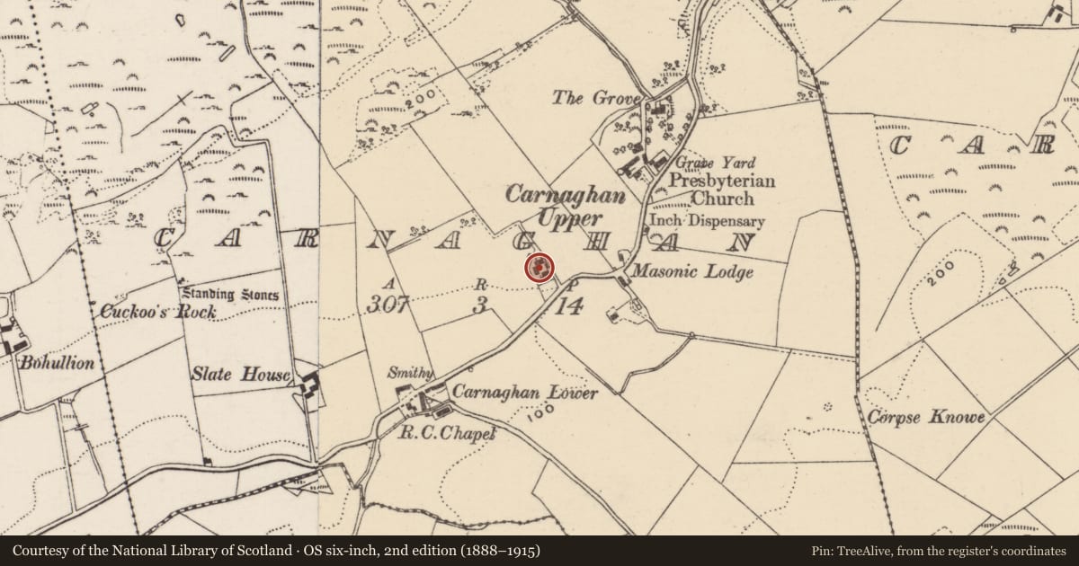 Ordnance Survey six-inch map, 2nd edition (1888–1915) covering the location of Bullaun stone, Carnaghan, County Donegal, with a pin at the register's coordinates