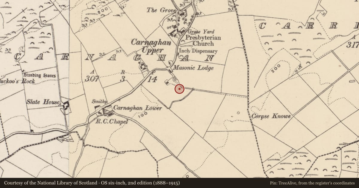 Ordnance Survey six-inch map, 2nd edition (1888–1915) covering the location of Souterrain, Carnaghan, County Donegal, with a pin at the register's coordinates