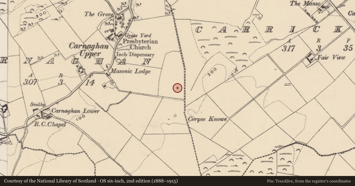 Ordnance Survey six-inch map, 2nd edition (1888–1915) covering the location of Souterrain, Carnaghan, County Donegal, with a pin at the register's coordinates