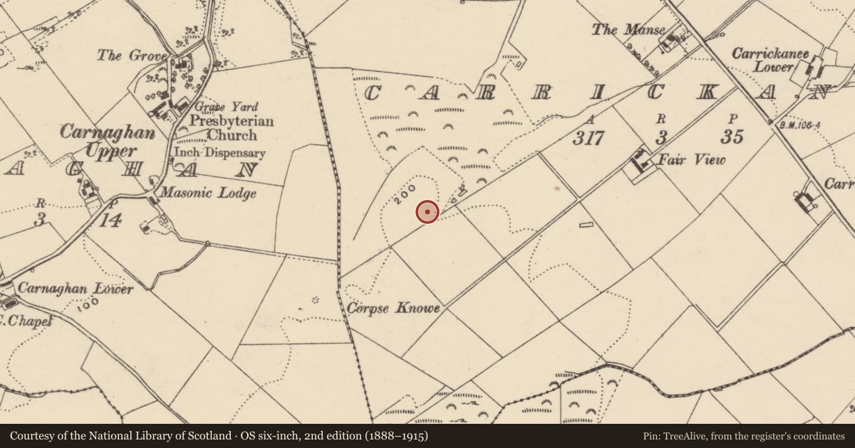 Ordnance Survey six-inch map, 2nd edition (1888–1915) covering the location of Ringfort - unclassified, Carrickanee, County Donegal, with a pin at the register's coordinates