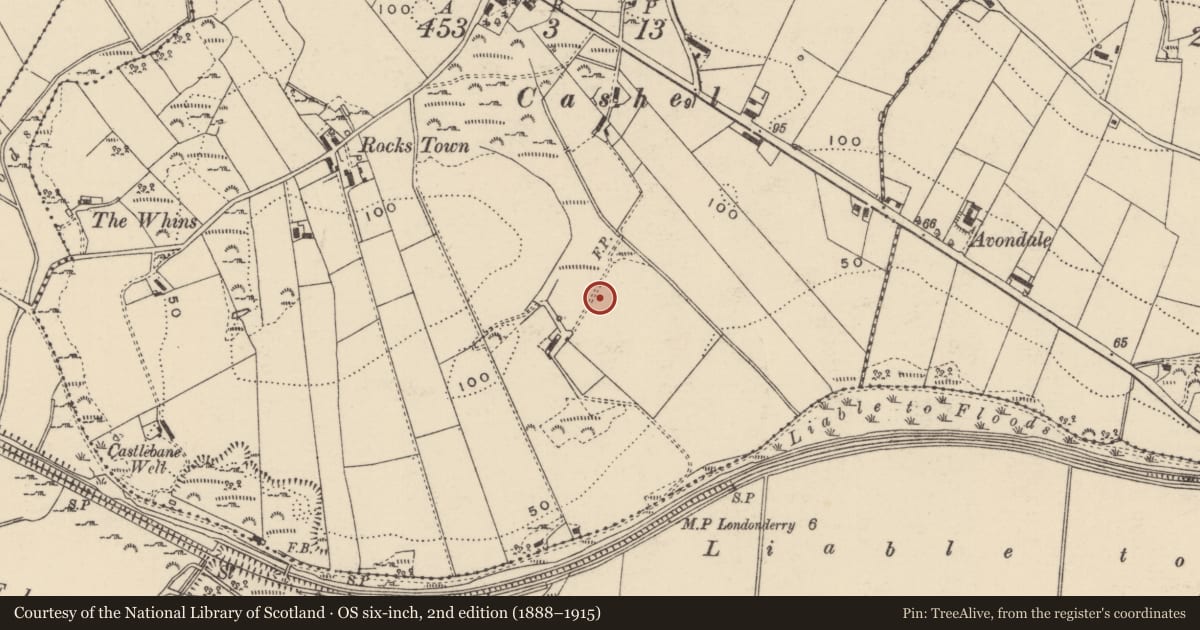 Ordnance Survey six-inch map, 2nd edition (1888–1915) covering the location of Cist, Tievebane, County Donegal, with a pin at the register's coordinates