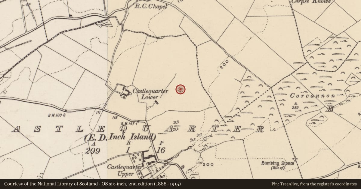 Ordnance Survey six-inch map, 2nd edition (1888–1915) covering the location of Ringfort - unclassified, Castlequarter, County Donegal, with a pin at the register's coordinates