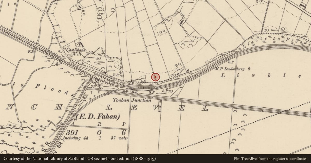 Ordnance Survey six-inch map, 2nd edition (1888–1915) covering the location of Midden, Tievebane, County Donegal, with a pin at the register's coordinates