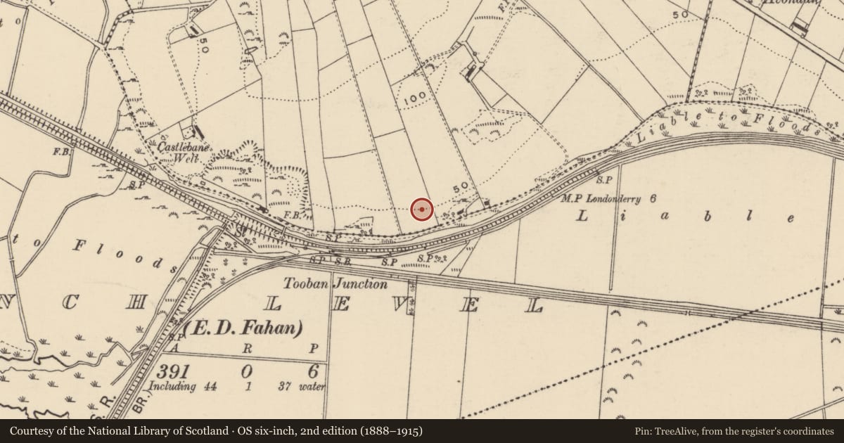 Ordnance Survey six-inch map, 2nd edition (1888–1915) covering the location of Hearth, Tievebane, County Donegal, with a pin at the register's coordinates