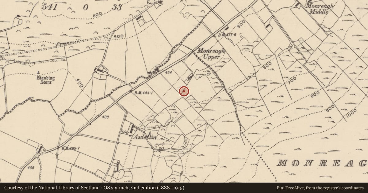 Ordnance Survey six-inch map, 2nd edition (1888–1915) covering the location of Megalithic tomb - unclassified, Crislaghmore, County Donegal, with a pin at the register's coordinates