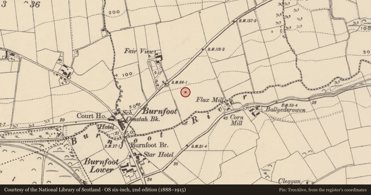 Ordnance Survey six-inch map, 2nd edition (1888–1915) covering the location of Burnt spread, Monreagh Or Barr 0f Kilmackilvenny, County Donegal, with a pin at the register's coordinates