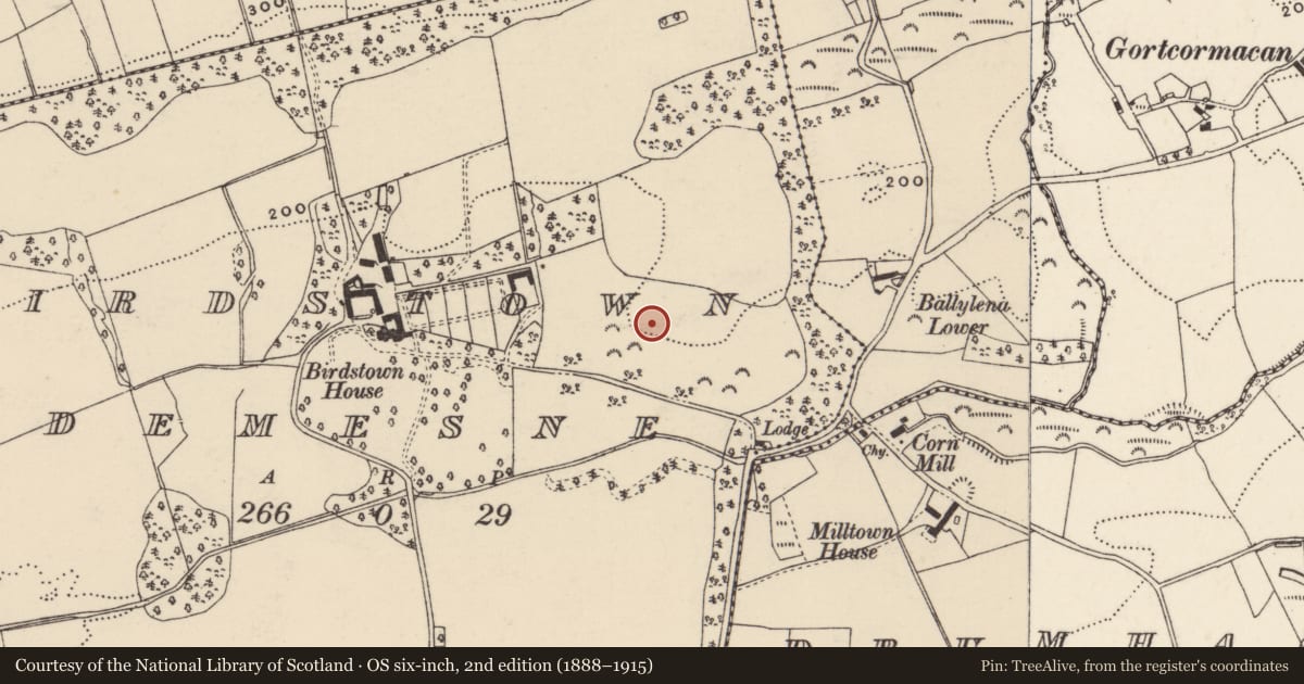 Ordnance Survey six-inch map, 2nd edition (1888–1915) covering the location of Urn burial, Birdstown Demesne, County Donegal, with a pin at the register's coordinates