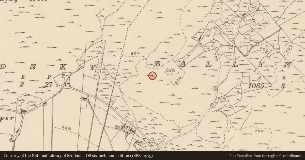 Ordnance Survey six-inch map, 2nd edition (1888–1915) covering the location of Rock art, Ballynahone, County Donegal, with a pin at the register's coordinates