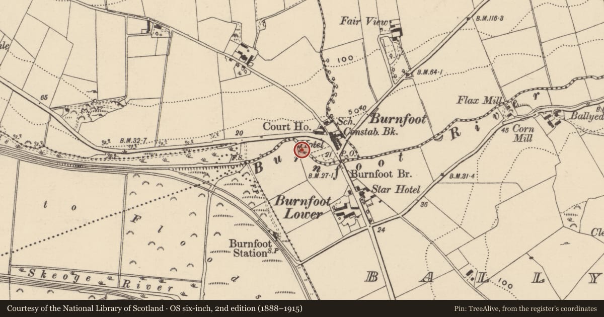 Ordnance Survey six-inch map, 2nd edition (1888–1915) covering the location of Burnt spread, Carnashannagh, County Donegal, with a pin at the register's coordinates