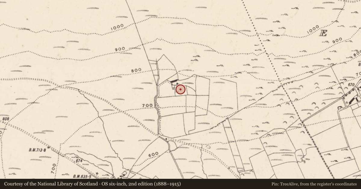 Ordnance Survey six-inch map, 2nd edition (1888–1915) covering the location of Standing stone, Carnamoyle, County Donegal, with a pin at the register's coordinates