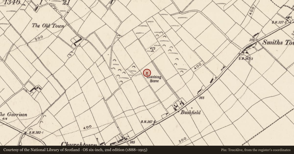 Ordnance Survey six-inch map, 2nd edition (1888–1915) covering the location of Standing stone, Eskaheen, County Donegal, with a pin at the register's coordinates