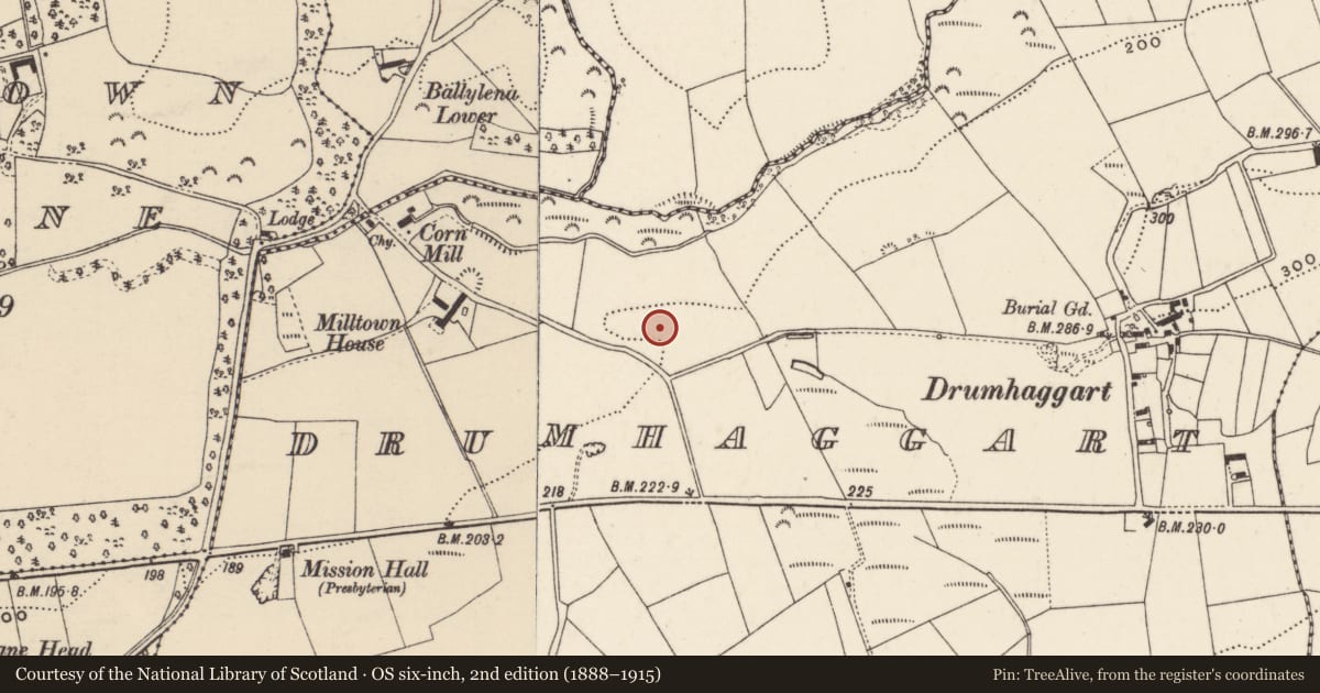 Ordnance Survey six-inch map, 2nd edition (1888–1915) covering the location of Flat cemetery, Drumhaggart, County Donegal, with a pin at the register's coordinates