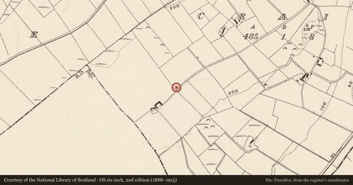 Ordnance Survey six-inch map, 2nd edition (1888–1915) covering the location of Cist, Craig, County Donegal, with a pin at the register's coordinates
