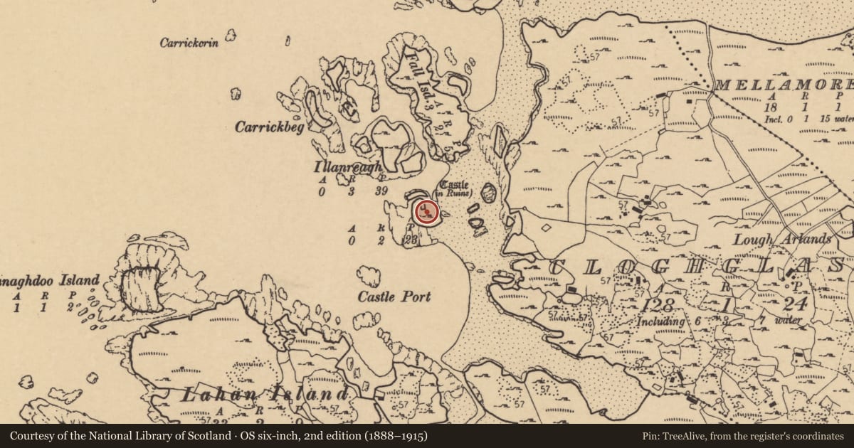 Ordnance Survey six-inch map, 2nd edition (1888–1915) covering the location of Fortification, An Chloch Ghlas, County Donegal, with a pin at the register's coordinates