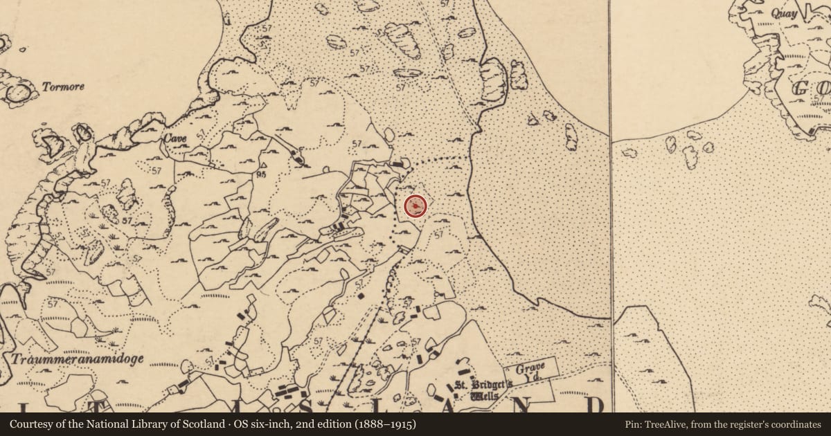 Ordnance Survey six-inch map, 2nd edition (1888–1915) covering the location of Burial, An Chruit Uachtarach, County Donegal, with a pin at the register's coordinates