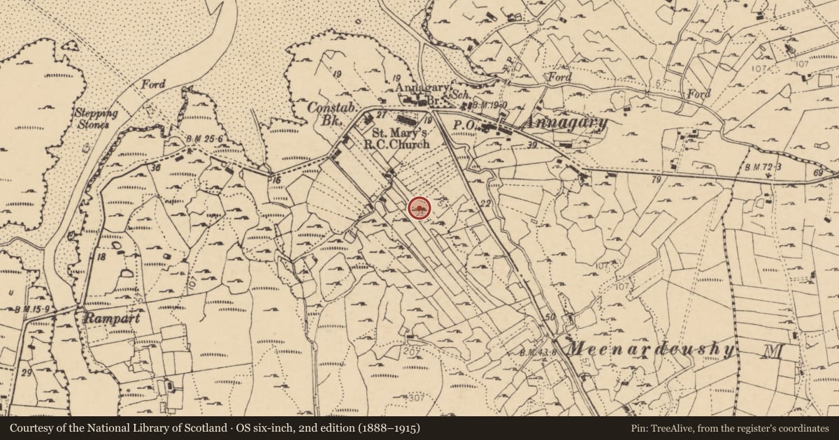 Ordnance Survey six-inch map, 2nd edition (1888–1915) covering the location of Ringfort - cashel, Anagaire, County Donegal, with a pin at the register's coordinates