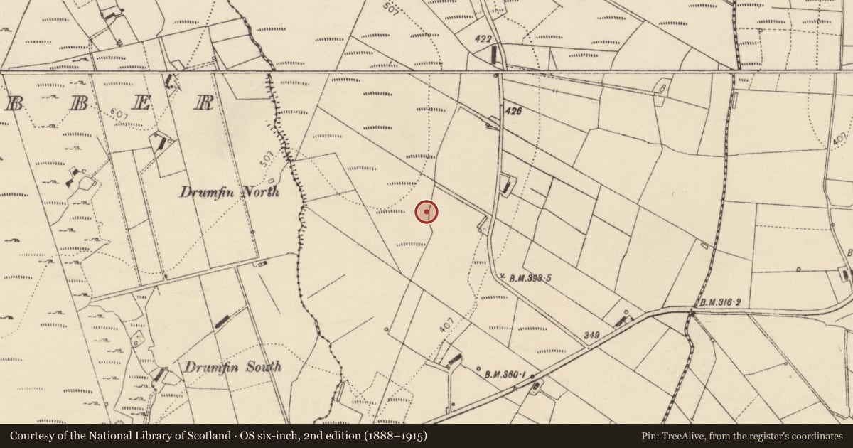 Ordnance Survey six-inch map, 2nd edition (1888–1915) covering the location of Ringfort - rath, An Srath Greadaithe, County Donegal, with a pin at the register's coordinates