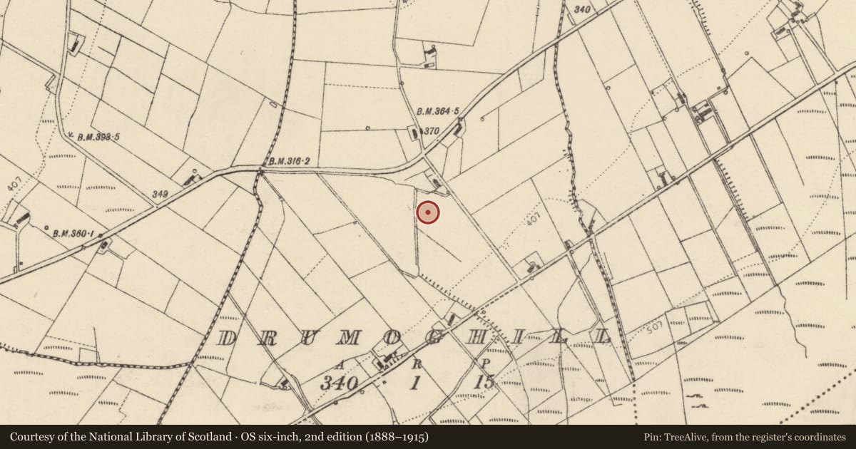 Ordnance Survey six-inch map, 2nd edition (1888–1915) covering the location of Ringfort - rath, Droim Eochaille (TC An Tearmann), County Donegal, with a pin at the register's coordinates
