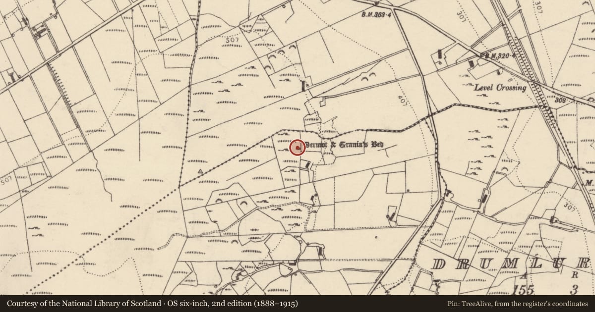 Ordnance Survey six-inch map, 2nd edition (1888–1915) covering the location of Megalithic tomb - wedge tomb, Gortnalaragh, County Donegal, with a pin at the register's coordinates