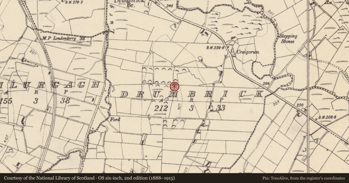 Ordnance Survey six-inch map, 2nd edition (1888–1915) covering the location of Ringfort - rath, Drumbrick, County Donegal, with a pin at the register's coordinates