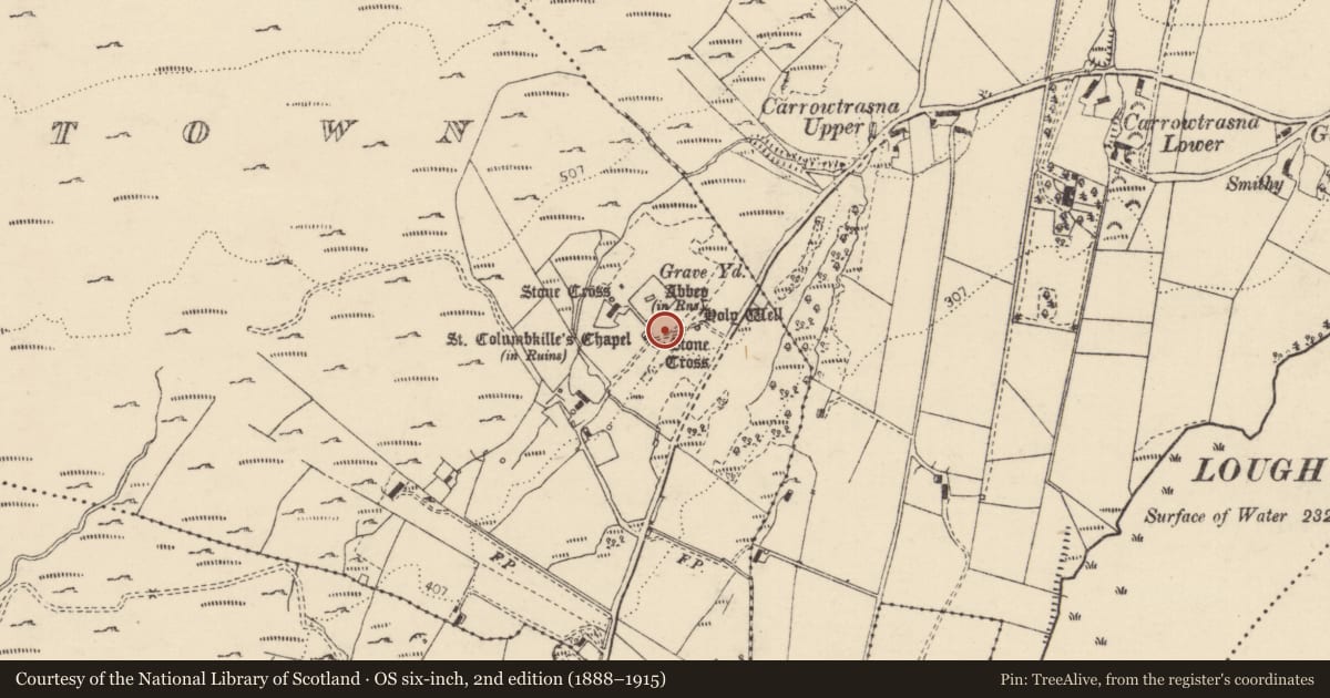 Ordnance Survey six-inch map, 2nd edition (1888–1915) covering the location of Cross, Churchtown, County Donegal, with a pin at the register's coordinates