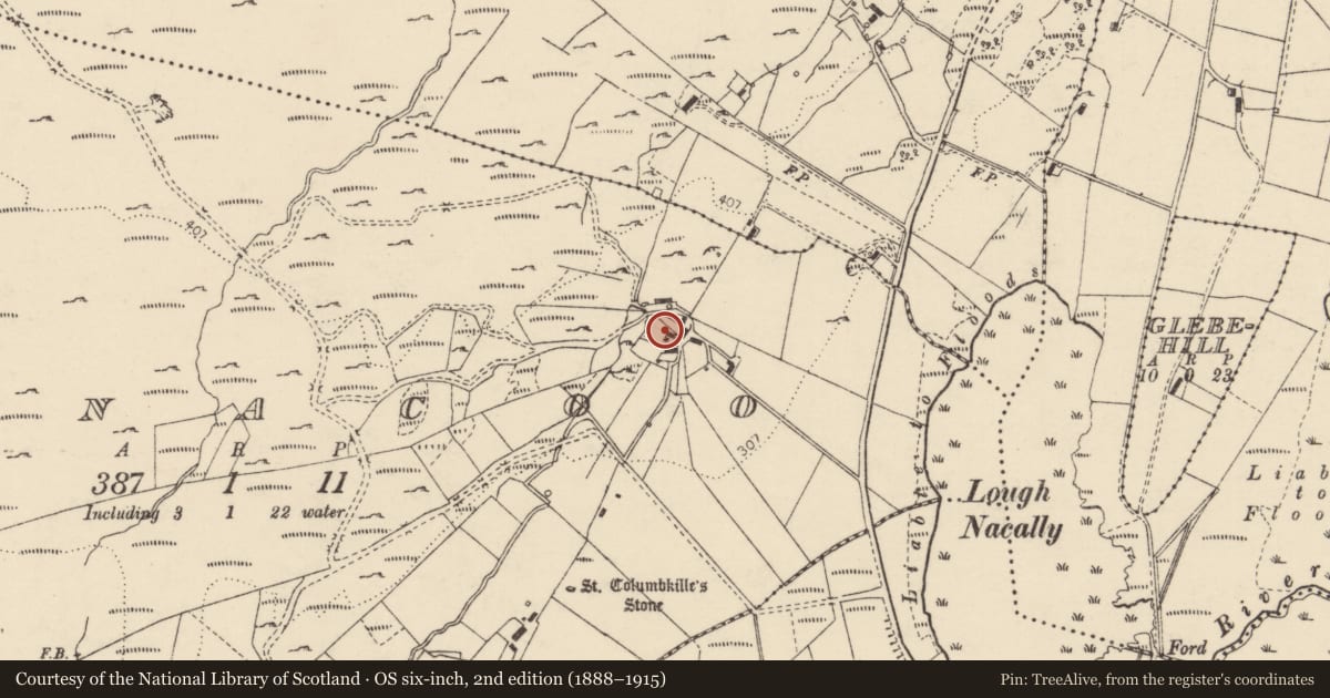 Ordnance Survey six-inch map, 2nd edition (1888–1915) covering the location of Bullaun stone, Lacknacoo, County Donegal, with a pin at the register's coordinates