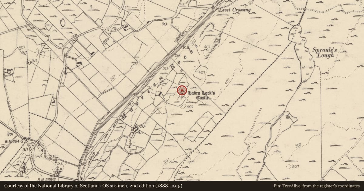 Ordnance Survey six-inch map, 2nd edition (1888–1915) covering the location of Ringfort - cashel, Cloncarney, County Donegal, with a pin at the register's coordinates