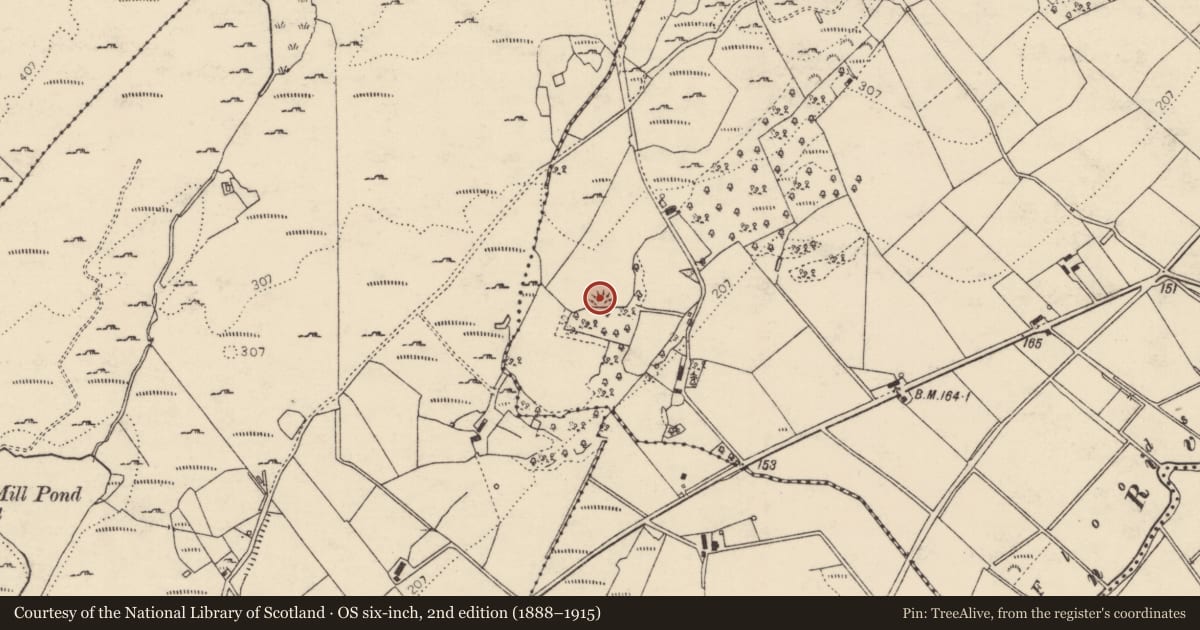 Ordnance Survey six-inch map, 2nd edition (1888–1915) covering the location of Ringfort - cashel, Dromore, County Donegal, with a pin at the register's coordinates