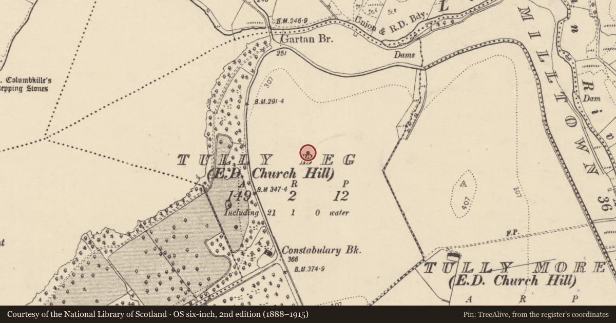 Ordnance Survey six-inch map, 2nd edition (1888–1915) covering the location of Ringfort - rath, Tully Beg, County Donegal, with a pin at the register's coordinates