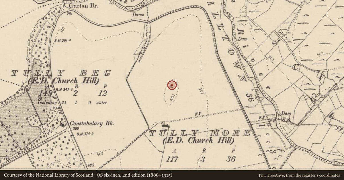 Ordnance Survey six-inch map, 2nd edition (1888–1915) covering the location of Souterrain, Tully More, County Donegal, with a pin at the register's coordinates