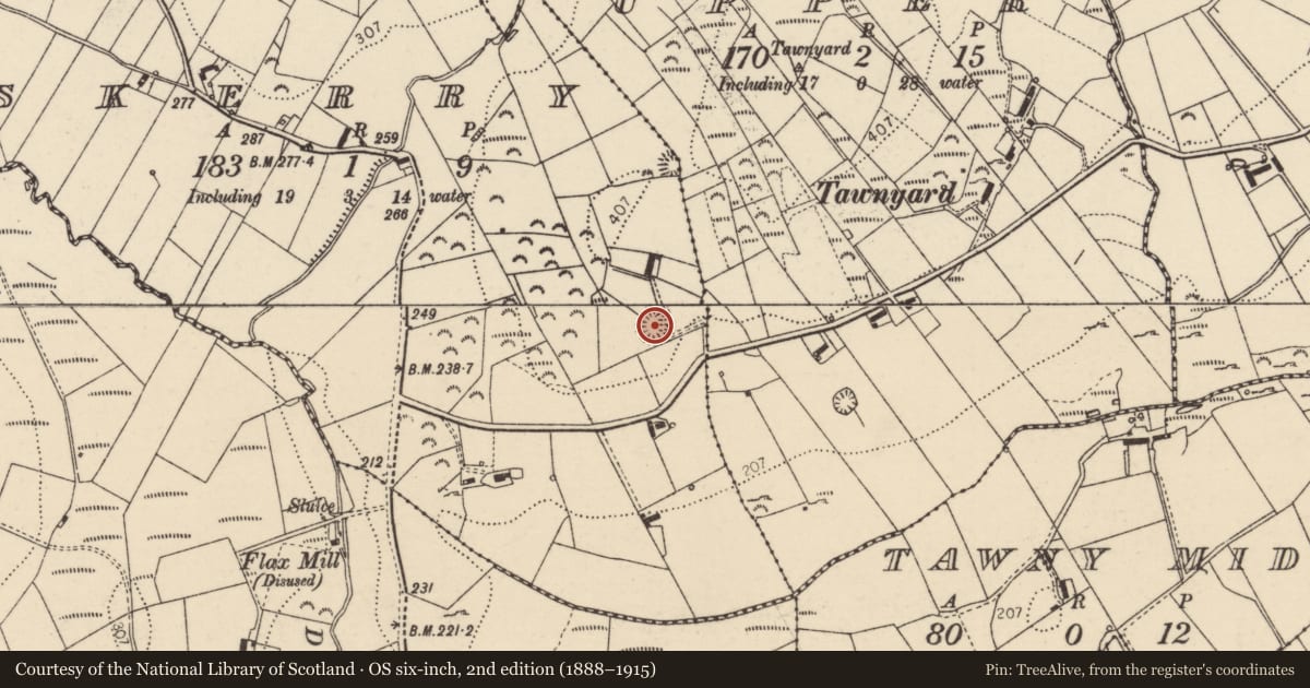 Ordnance Survey six-inch map, 2nd edition (1888–1915) covering the location of Ringfort - rath, Skerry, County Donegal, with a pin at the register's coordinates