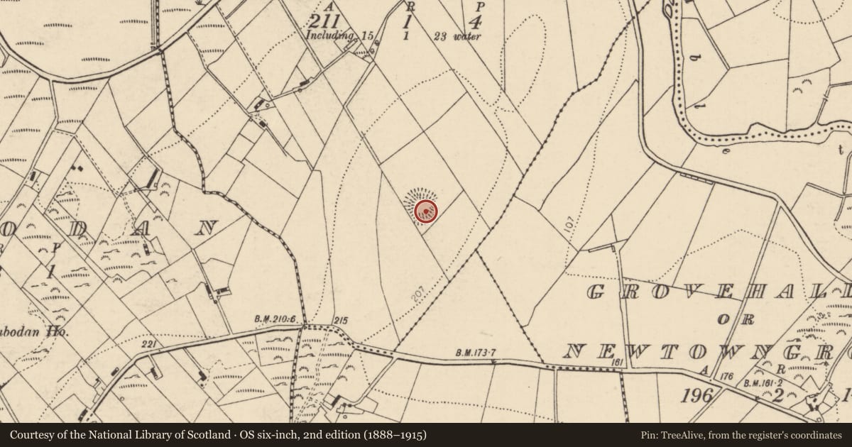 Ordnance Survey six-inch map, 2nd edition (1888–1915) covering the location of Ringfort - rath, Aghawoney, County Donegal, with a pin at the register's coordinates