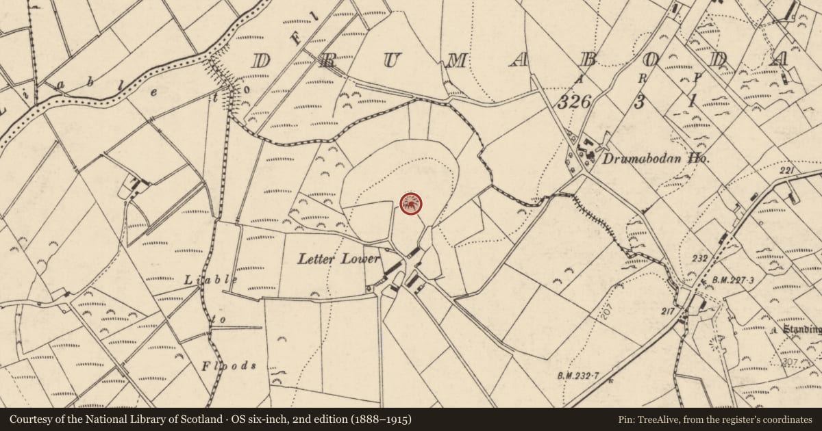 Ordnance Survey six-inch map, 2nd edition (1888–1915) covering the location of Ringfort - rath, Leitir (TC Cill Mhic Réanáin), County Donegal, with a pin at the register's coordinates