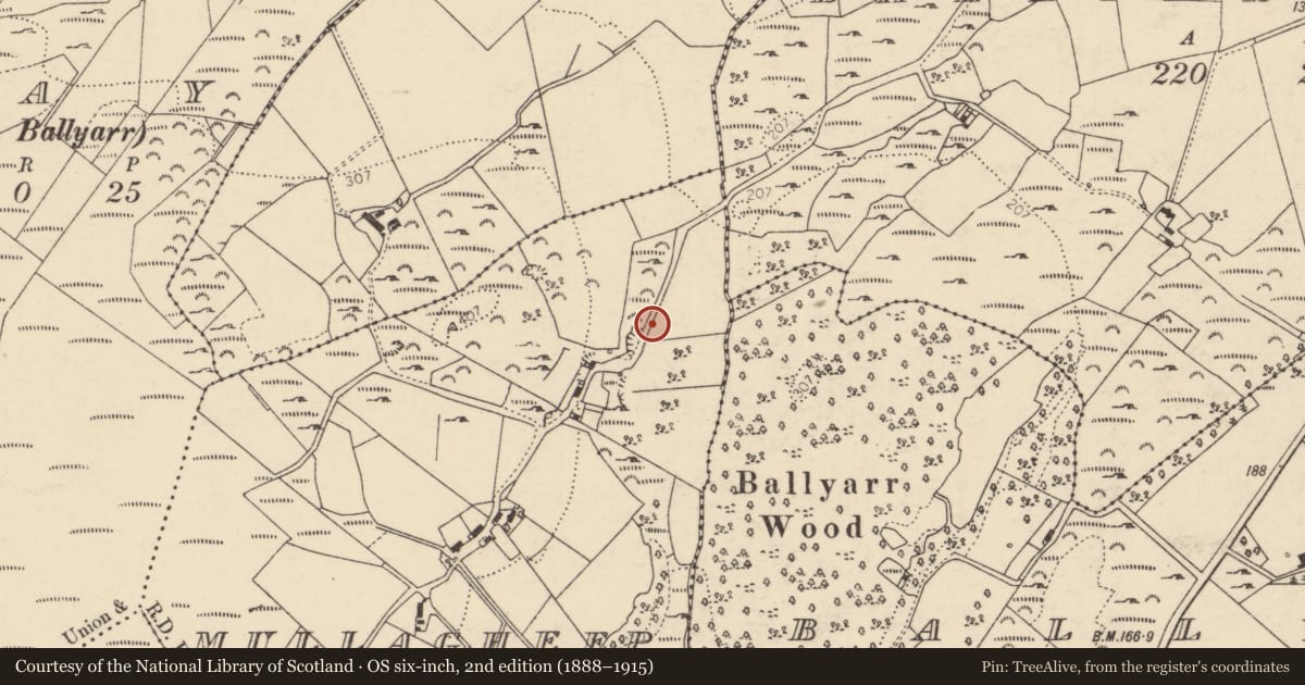 Ordnance Survey six-inch map, 2nd edition (1888–1915) covering the location of Cist, Mullagheep, County Donegal, with a pin at the register's coordinates