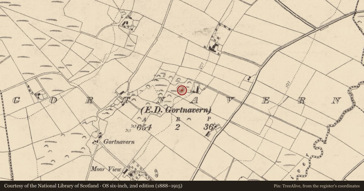 Ordnance Survey six-inch map, 2nd edition (1888–1915) covering the location of Ringfort - cashel, Gortnavern, County Donegal, with a pin at the register's coordinates