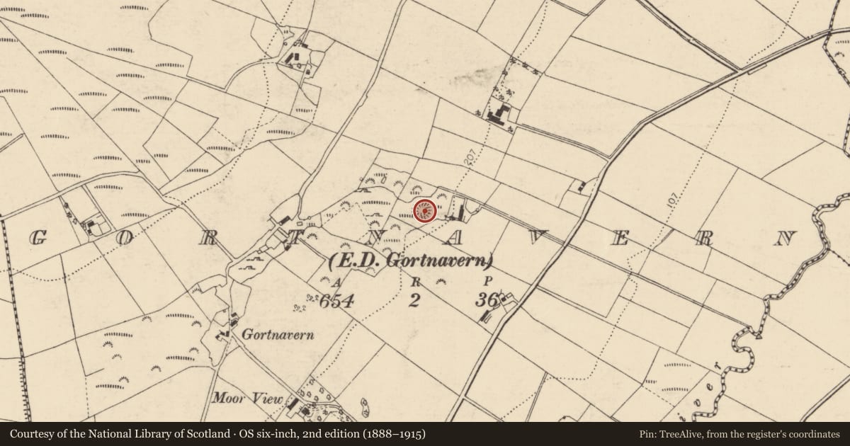 Ordnance Survey six-inch map, 2nd edition (1888–1915) covering the location of Souterrain, Gortnavern, County Donegal, with a pin at the register's coordinates