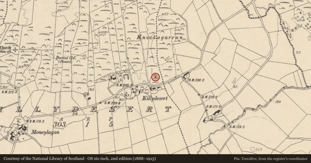 Ordnance Survey six-inch map, 2nd edition (1888–1915) covering the location of Souterrain, Killydesert, County Donegal, with a pin at the register's coordinates