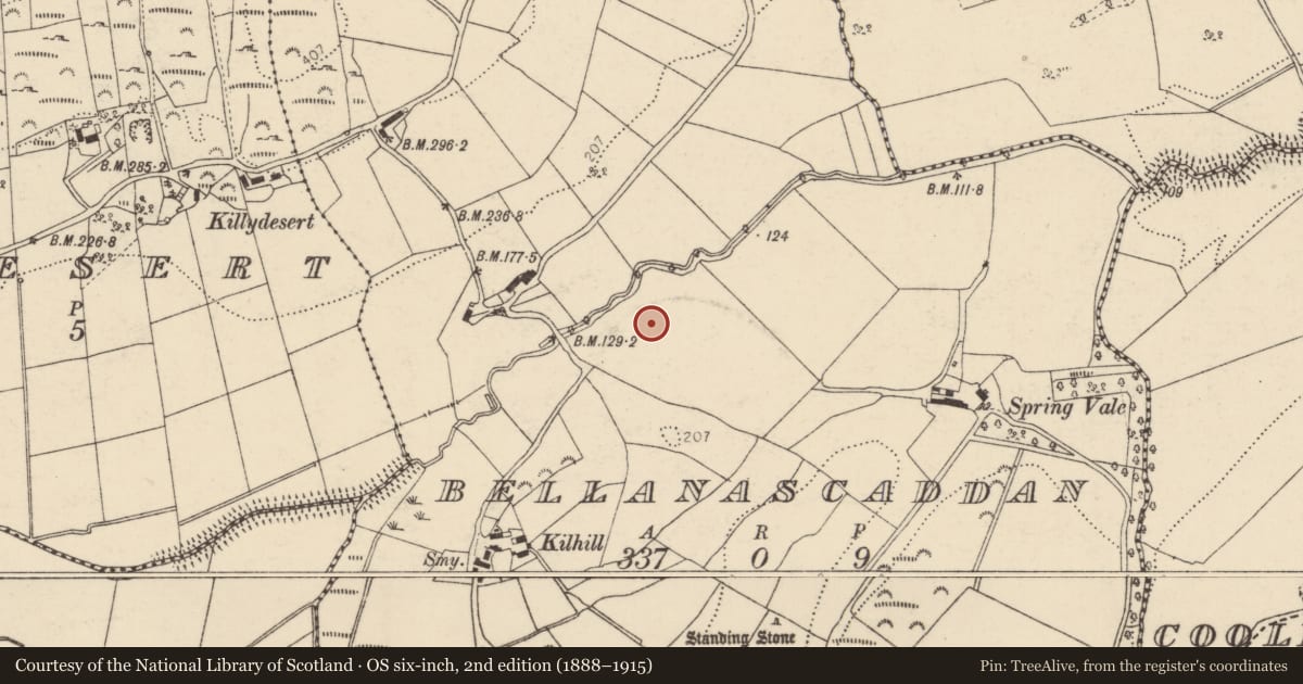 Ordnance Survey six-inch map, 2nd edition (1888–1915) covering the location of Cist, Bellanascaddan, County Donegal, with a pin at the register's coordinates