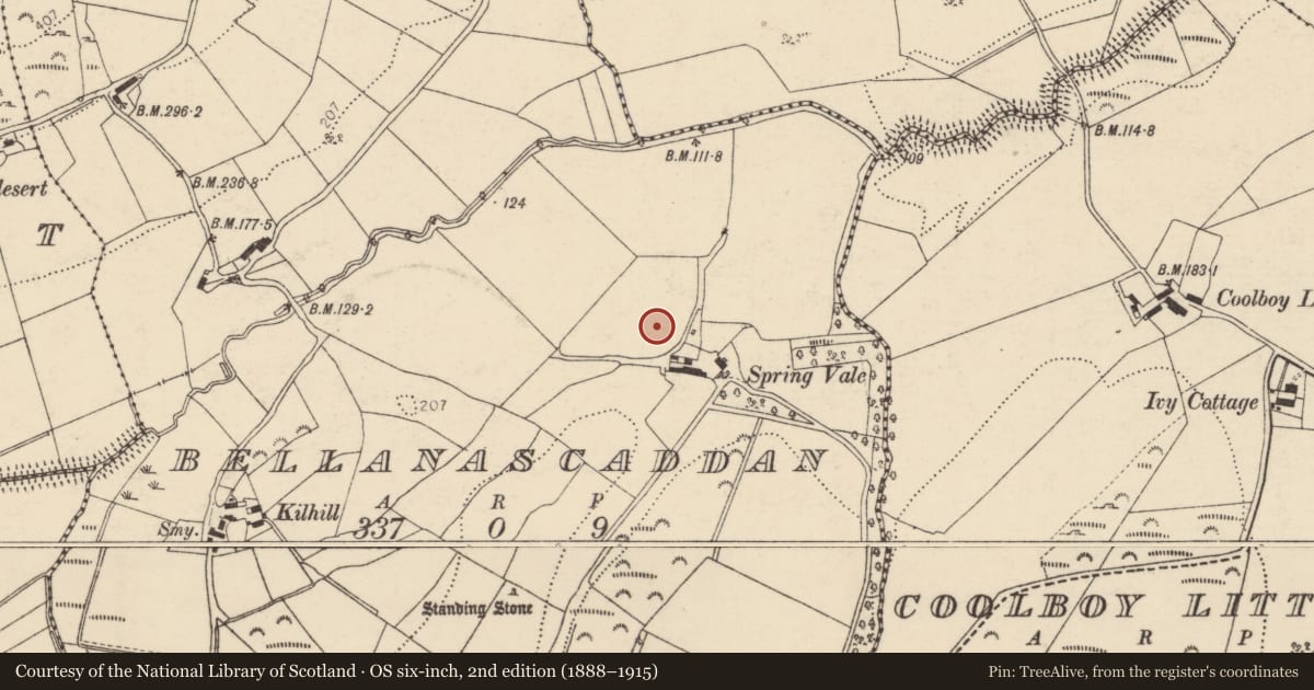 Ordnance Survey six-inch map, 2nd edition (1888–1915) covering the location of Ringfort - unclassified, Bellanascaddan, County Donegal, with a pin at the register's coordinates