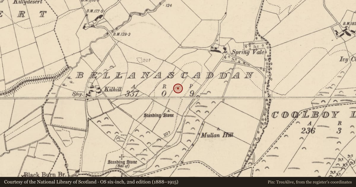 Ordnance Survey six-inch map, 2nd edition (1888–1915) covering the location of Ringfort - unclassified, Bellanascaddan, County Donegal, with a pin at the register's coordinates