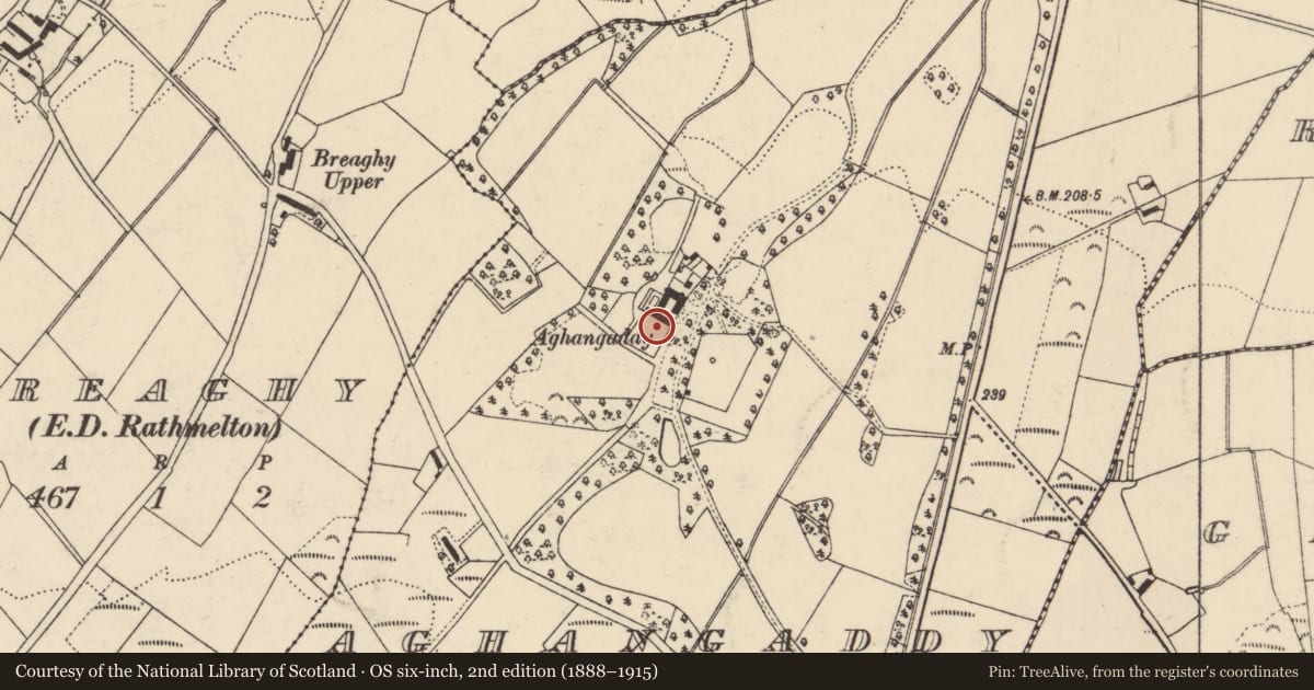 Ordnance Survey six-inch map, 2nd edition (1888–1915) covering the location of Rock art, Aghangaddy Glebe, County Donegal, with a pin at the register's coordinates