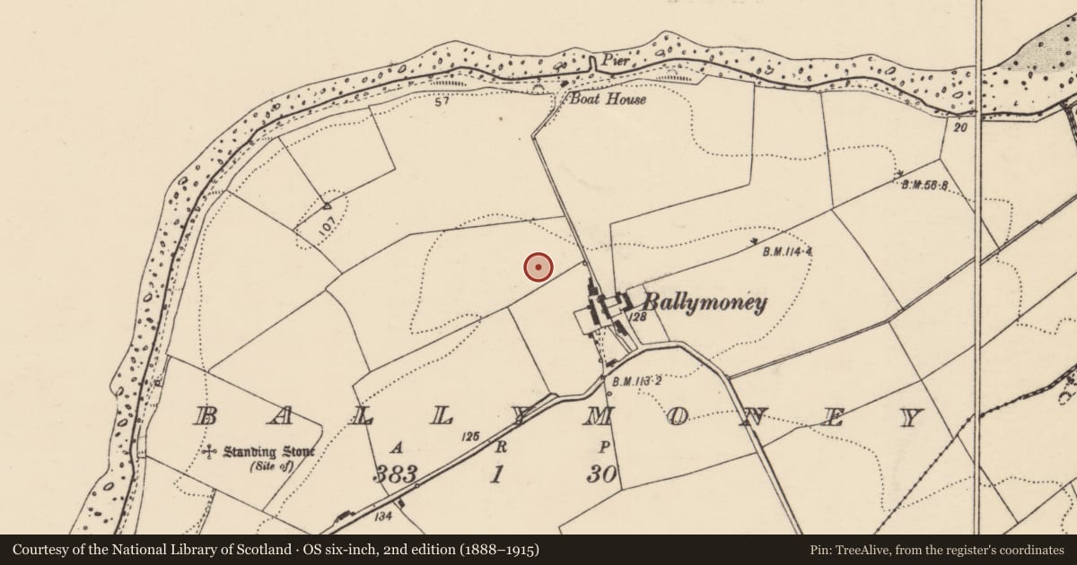 Ordnance Survey six-inch map, 2nd edition (1888–1915) covering the location of Enclosure, Ballymoney, County Donegal, with a pin at the register's coordinates