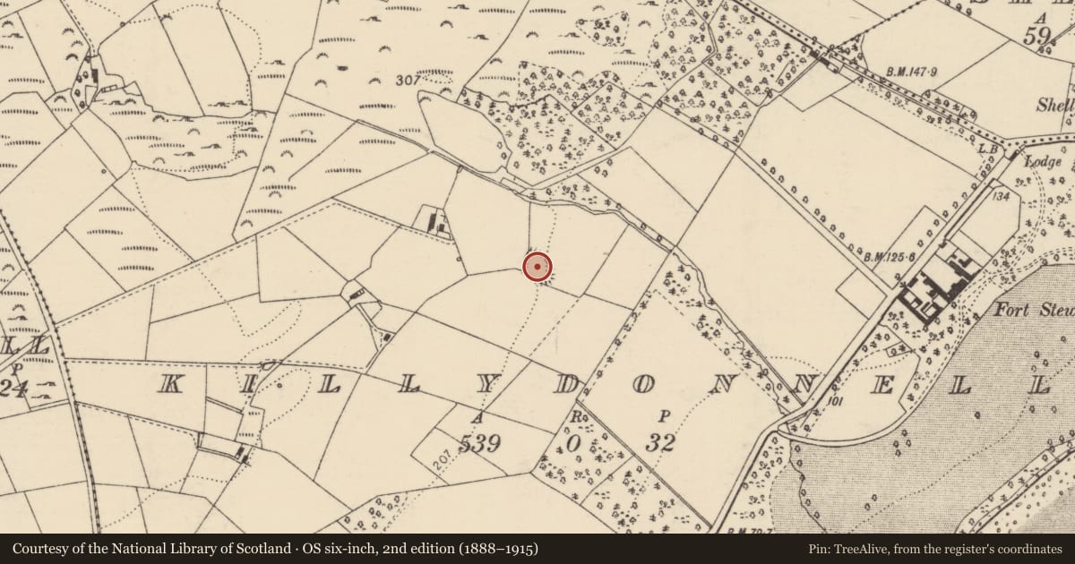 Ordnance Survey six-inch map, 2nd edition (1888–1915) covering the location of Ringfort - rath, Killydonnell, County Donegal, with a pin at the register's coordinates