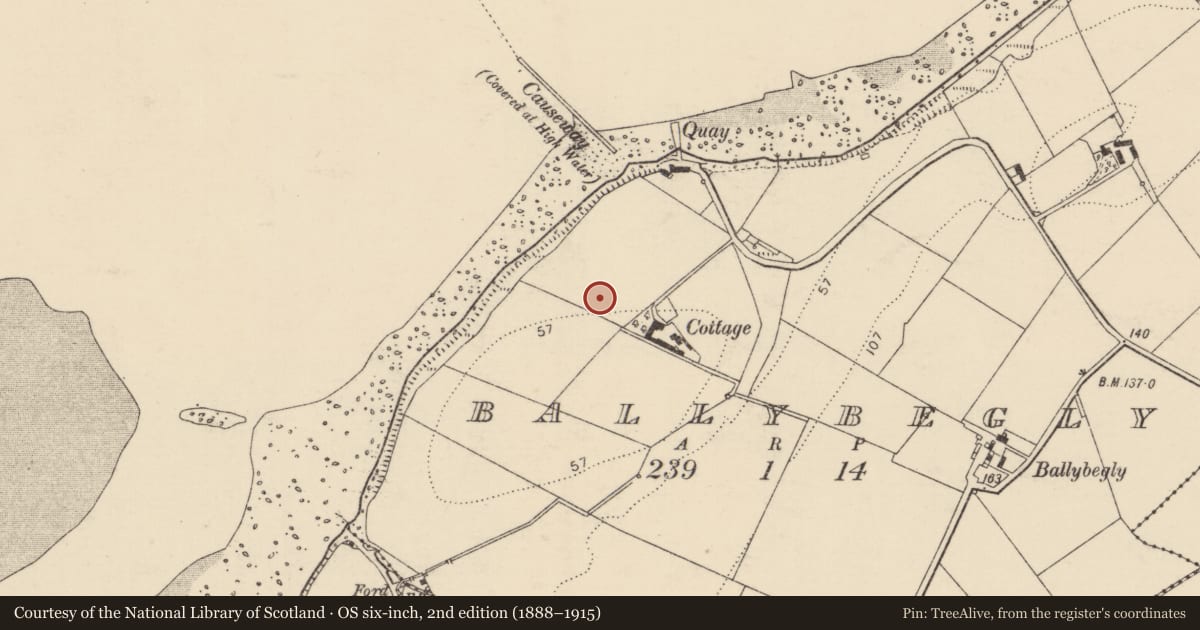 Ordnance Survey six-inch map, 2nd edition (1888–1915) covering the location of Enclosure, Ballybegly, County Donegal, with a pin at the register's coordinates