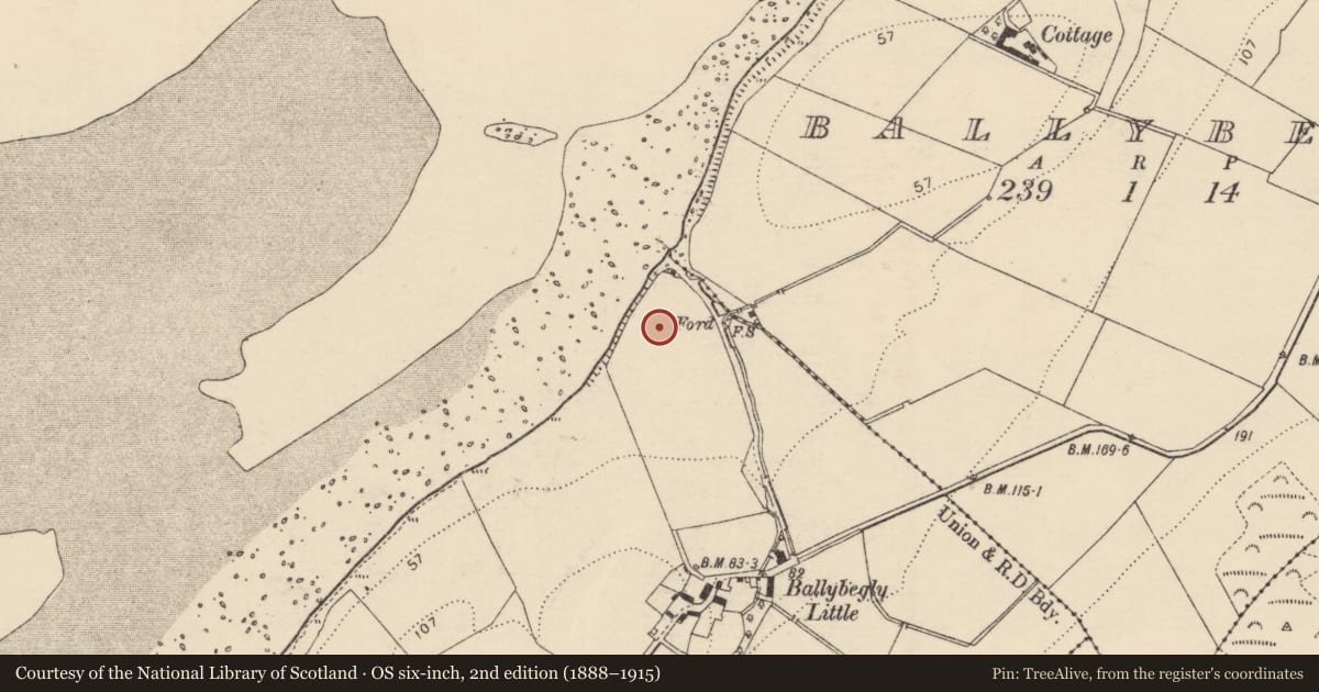 Ordnance Survey six-inch map, 2nd edition (1888–1915) covering the location of Enclosure, Ballybegly Little, County Donegal, with a pin at the register's coordinates