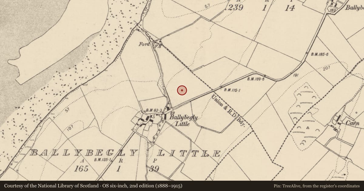 Ordnance Survey six-inch map, 2nd edition (1888–1915) covering the location of Enclosure, Ballybegly Little, County Donegal, with a pin at the register's coordinates